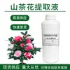 Suministro al por mayor extracto de camelia extracto de camelia extracto de camelia extracto de planta