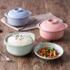 Tigela criativa de macarrão instantâneo sabor trigo com tampa tigela de sopa para estudantes louça japonesa lancheira tigela de macarrão instantâneo copo de macarrão instantâneo fabricantes de presentes