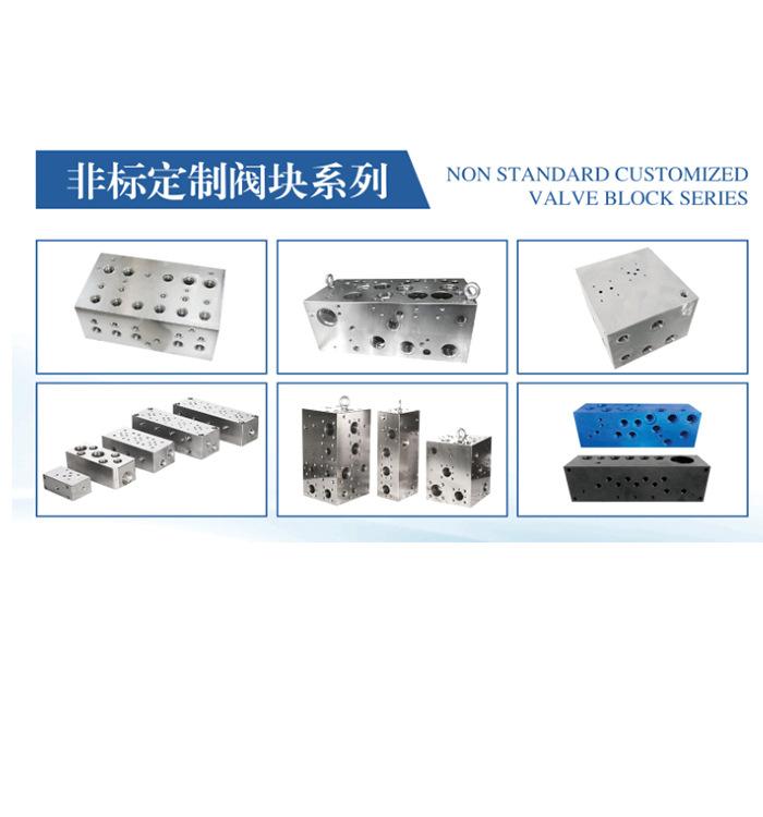 非标定制阀块系列
