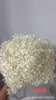 [Niebla Natural Hortensia] Flor Eterna Flor Seca Hortensia Anna Hortensia Lobular Material para Boda DIY Venta al por Mayor