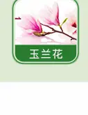 日用香精系列明细_08.jpg