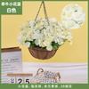 Plantas Colgantes Artificiales Colgantes de Pared Lirio Cesta Pequeña de Flores Flores Falsas Margarita Pequeña Flor de Gloria de la Mañana Rama Decoración del Hogar