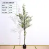 Árbol de Olivo de Simulación para Interior Sala de Estar Fondo de Pared de Piso Colocación Plantas Verdes Plantas Artificiales en Maceta Decoración Estilo Nórdico Paisajismo Juncos