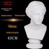 Busto de gesso artístico, retrato de cabeça, Vênus, esboço de peito, gesso, natureza morta, sala de arte, equipamento de apoio