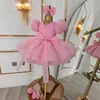 Vestido rosa de comercio exterior transfronterizo para niña con mariposa tridimensional, falda abullonada, vestido de princesa para niña de flor de bautizo de un año con mangas abullonadas