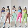 Calça de Yoga para Primavera e Outono Secagem Rápida Cintura Alta Sem Costura Leggings de Yoga Malha para Treino Esportivo Calça Cropped