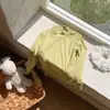 Ropa para niños, camiseta para niños, 26 nueva prenda básica de otoño de manga larga, top de cuello medio alto para niños, top para niñas, capa interior engrosada