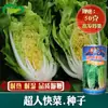 Semillas Rápidas de Verduras Superman, Semillas de Repollo de Cuatro Estaciones, Semillas de Repollo Verde Pequeño, Repollitos de Bruselas Semillas de Verduras de Cuatro Estaciones para Maceta de Balcón