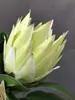 Simulación Estampado Único Flor Imperial Grande Flor Dominante Nórdico Simple Decoración del Hogar Adornos Estampado Pastoral Flor de Princesa