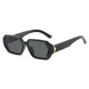 Gafas de Sol Negras Irregulares de Marco Pequeño, Nuevo Estilo Facial, Gafas de Sol de Moda de Pasarela con Personalidad, Gafas de Sol Transfronterizas de Moda para Mayoristas