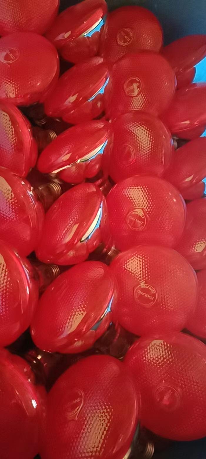 7837720f3cdfa11ae2b4fe7cd1291f