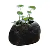Macetas Pequeñas de Inspiración Zen, Macetas de Piedra, Macetas para Suculentas, Macetas para Juncos, Macetas para Hierba del Dinero, Macetas de Piedra Natural para Acuarios, Macetas Creativas para Narcisos