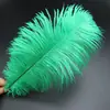 30-35cm Plumas de Avestruz Lámpara de Plumas Arreglo Floral de Plumas de Avestruz Plumas de Boda