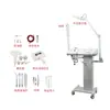 Dispositivo de Belleza Diez en Uno con Vaporizador Térmico, Dispositivo de Extracción e Introducción de Iones Positivos y Negativos de Alta Frecuencia para Salones de Belleza, Uso Doméstico y Uso Comercial