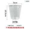 Copo Transparente para Phalaenopsis Vaso para Flores Suculentas Copo para Mudas de Orquídea Bacia Transparente Vaso para Flores Phalaenopsis Saco Plástico para Mudas