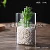 Vaso Reto de Vidro Borossilicato Alto Estilo Ins de Luxo Leve para Cultivar Bambu da Sorte e Lírios, Vaso de Vidro Transparente para Decoração de Sala de Estar e Mesa de Jantar