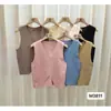 Roupa de Primavera e Outono Simples Cor Sólida Peça Externa Colete de Tricô Feminino 2025 Novo Retrô Pequeno Versátil Colete com Gola