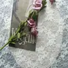 Tejido de Encaje Elástico, Adorno de Encaje de Nylon, Tejido de Encaje Decorativo para Lencería, Vestidos de Novia y Accesorios