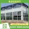 Proyecto de invernadero de vidrio, invernadero multiespacio con control de temperatura, cultivo de plántulas de flores, fabricación y construcción de invernadero con estructura de acero