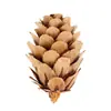 Piñas Color Natural Original Decoraciones Navideñas Hechas a Mano DIY Adornos Creativos Accesorios para Fotografía Flores Secas Piñas Venta al por Mayor