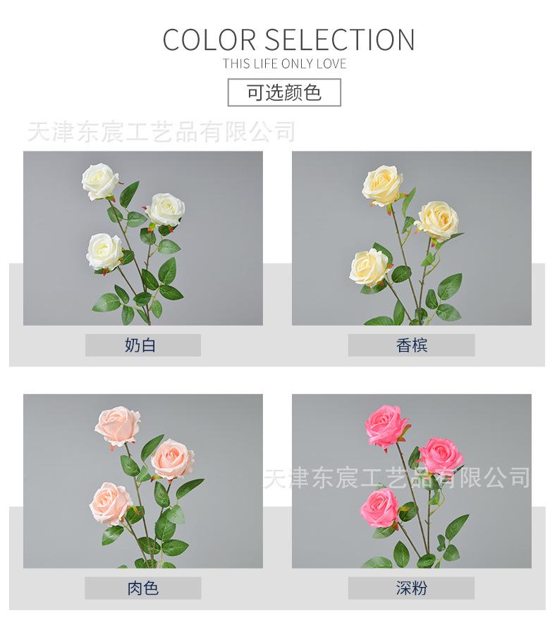 详情_02.png