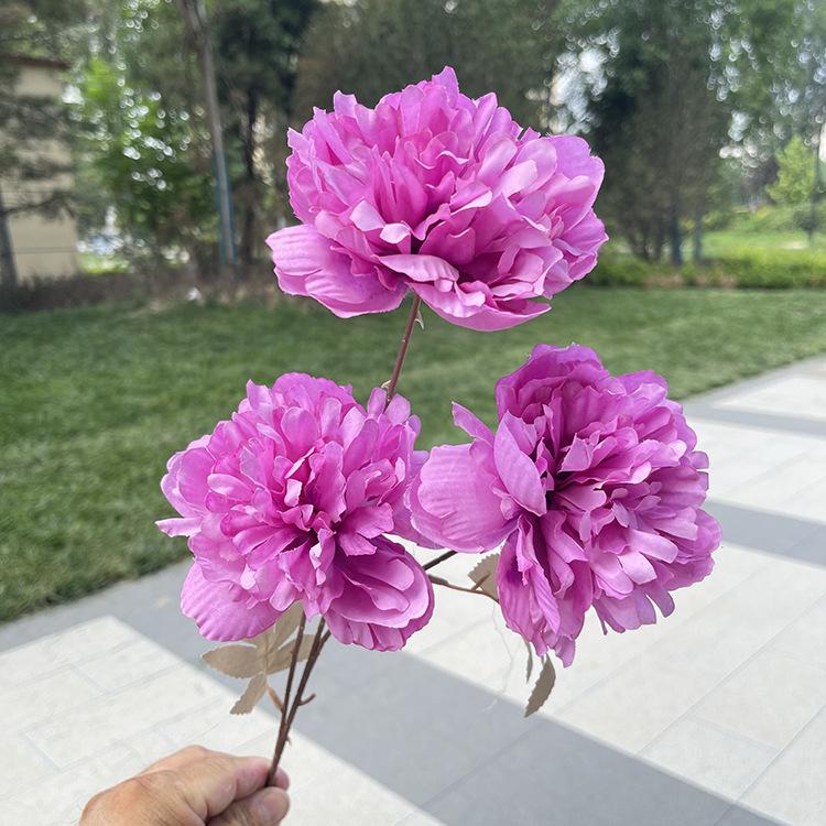 TeHui3大头涂层牡丹-sxzxx-紫色.JPG