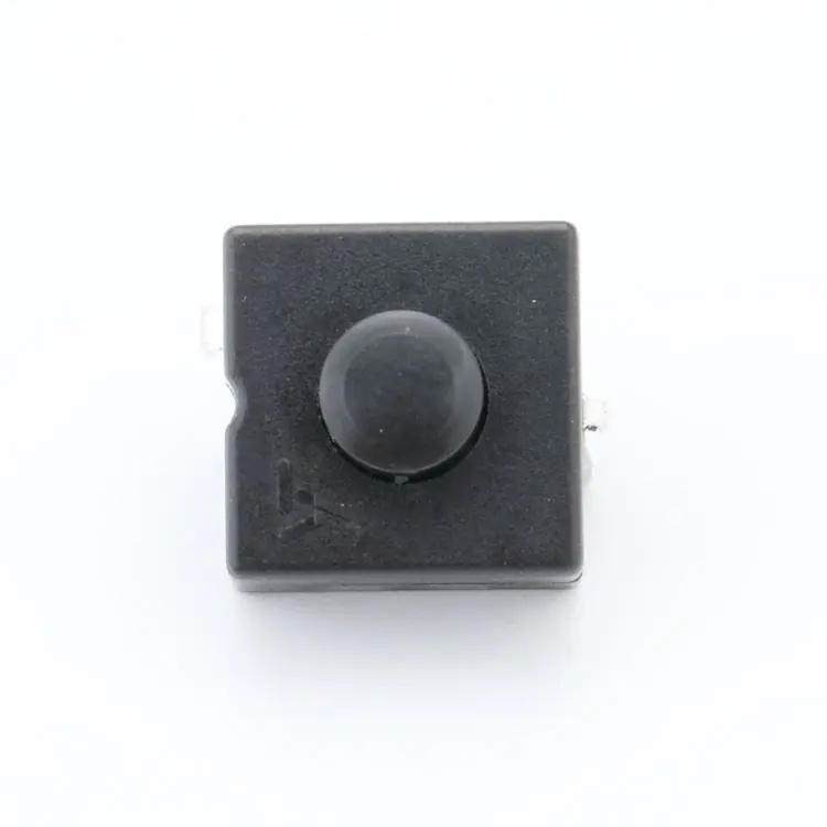 D99A7557