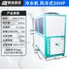 Enfriador industrial refrigerado por aire máquina de hielo de baja temperatura máquina de hielo para molde de inyección refrigerador de ciclo enfriador de agua fabricantes