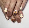 Comércio Exterior 24 Peças Adesivos para Nail Art Peru de Ação de Graças Bolinhas Coloridas Estilo Fofo Unhas Curtas Quadradas Redondas Usáveis Atacado