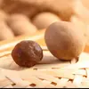 Lote nuevo de longan seco, con cáscara, pulpa gruesa y semillas pequeñas. Perfecto para hacer sopa o infusionar en agua. Asequible, empaquetado en bolsas y disponible para venta al por mayor