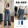 Jeans Cargo Rectos para Mujer, Primavera, Otoño, Invierno 2025 Nuevos Pantalones Anchos de Pierna Ancha de Cintura Alta Sueltos de Moda para Mujer