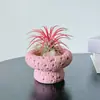 Piña Aérea Plantas Verdes de Escritorio para Oficina Plantas Pequeñas en Maceta de Interior Fáciles de Mantener Durante Todo el Año Flores Estabilizadoras del Ánimo para Personas Perezosas