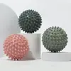 Bola de Liberação Miofascial, Bola de Massagem para Pés, Bola para Relaxamento Muscular de Yoga, Bola Espinhosa para Pés, Bola Magnética Fitness para Yoga, Bola Amendoim para Arco do Pé