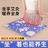 Cojín de Lana de Moxa para Moxibustión, Cojín de Moxa con Calefacción Eléctrica, Cojín para Glúteos, Almohadilla Calefactora para Cadera de Oficina, Cojín Calefactor de Moxa