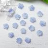 Acessórios de unha de rosa azul esculpida para unhas quentes de verão, brilho fino luminoso, acessórios de unha de Camélia, atacado misto