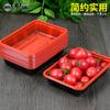 Nueva caja de embalaje desechable Xianyuan con bandeja fresca roja y negra, gruesa, para alimentos, frutas y verduras, rectangular.
