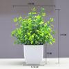 Venda quente transfronteiriça Simulação de planta Planta falsa Planta verde Decoração interna e externa Simulação de eucalipto em vaso de plástico Planta pequena em vaso