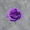 Cabeças de Flores de Rosa Artificiais para Decoração de Fundo de Casamento, Arco de Flores Falsas Transfronteiriço, Materiais Florais DIY Feitos à Mão