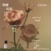 Líquido de Relleno de Aceite Esencial de Plantas de Aromaterapia de 15 ml para Difusor de Piedra de Yeso, Adornos Aromáticos, Especializado para Uso en Interiores, Fragancia de Alta Gama y Larga Duración