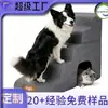 Escadas de Passos para Pet com Ninho Escada de Escalada para Cão Gato Desmontável Lavável Esponja Degraus para Pet Escada de Cama de Escalada Anti-queda para Cão Idoso
