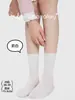 Meias Novas Femininas Primavera e Verão, Meias Finas com Borda Enrolada, Meias Versáteis de Renda Cor Sólida Meia-Perna, Meias Sem Costura, Estilo Ins Coreano