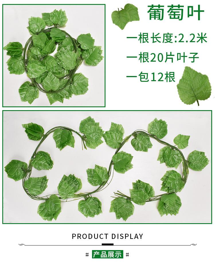 藤条1_09