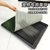 Banheiro para Cachorro Descarga Automática Dreno Reto Limpeza de Esgoto Banheiro Pequeno para Cachorro Vaso Sanitário Urinol Cachorro Gato Grama Artificial Banheiro