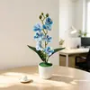 Día de Año Nuevo Top Grande Fondo Pequeño 7 Orquídeas Phalaenopsis Bonsái Decoración de Jardín para el Hogar Flor de Simulación Planta Verde Planta en Maceta Adorno