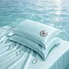 Funda de almohada de seda helada refrescante lavable Juego de dos fundas de almohada bordadas de verano Funda de almohada individual lavable a máquina 48X74Cm