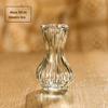 Vaso Pequeno de Vidro de Fábrica Arranjo de Flores Vaso Mini Hidropônico de Alto Nível Decoração Enfeites de Mesa Estilo ins Atacado