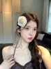 Pinza para el pelo de sombrero de paja con encaje estilo vacaciones de verano para mujer, pinza lateral que realza el ambiente, sensación de alta gama, hermoso accesorio para el cabello para fotos