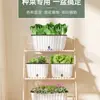 Maceta para plantar verduras en balcón, caja de plantación de verduras de autorriego, para personas perezosas, rectangular, para plantar cebolla, maceta de plástico para flores, interior, anillo de resina, envoltorio