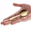 Colher e Garfo Portáteis de Aço Inoxidável 304 com Cabo Curto, Colher de Arroz para Crianças, Colher de Sobremesa para Sorvete, Garfo de Frutas, Mini Colher Pequena