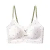 Venda Direta da Fábrica Vietnã Lingerie Sutiã Feminino Transfronteiriço Rússia Taiwan Amazon Mais Vendido Europeu Americano Tailândia